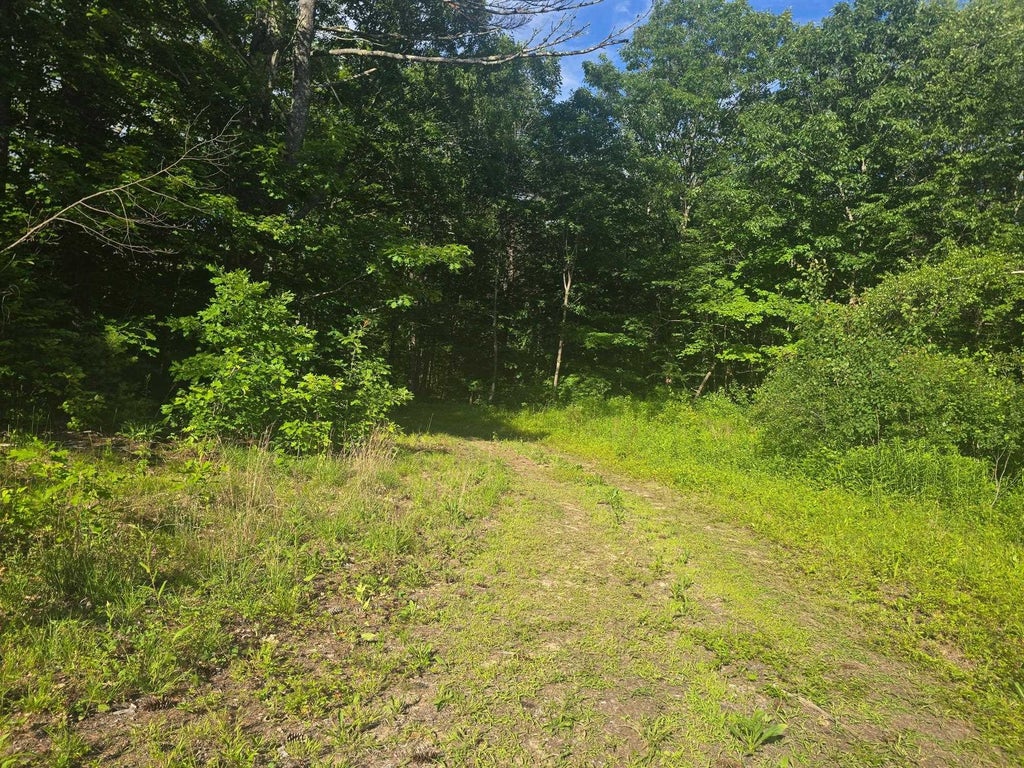 Photo of 0 West Salisbury Road #3, Salisbury, NH 03268 (MLS # 5096619)