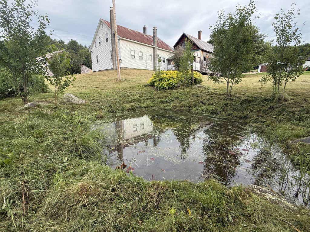 Photo of 10 Rodimon Lane, Piermont, NH 03779 (MLS # 5097709)