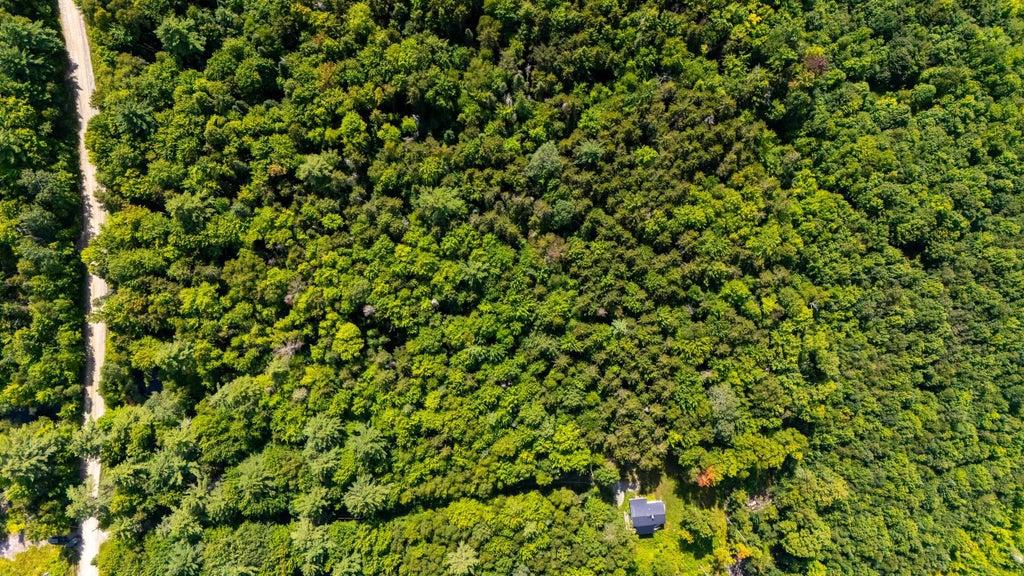 Photo of 00 Osgood Farm Road, Littleton, NH 03561 (MLS # 5106293)