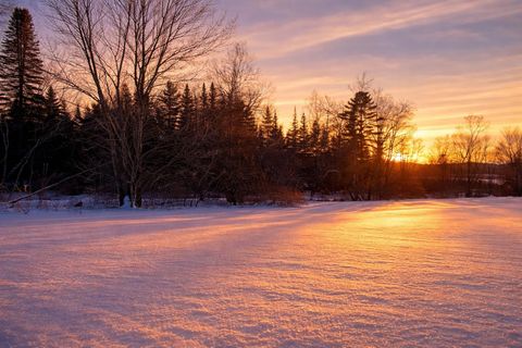 972-C Fitzgerald Road 3 Morristown VT 05661