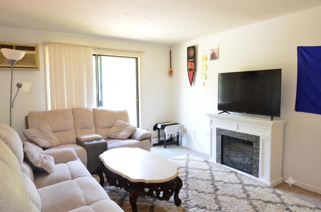 134 Mammoth Road 21