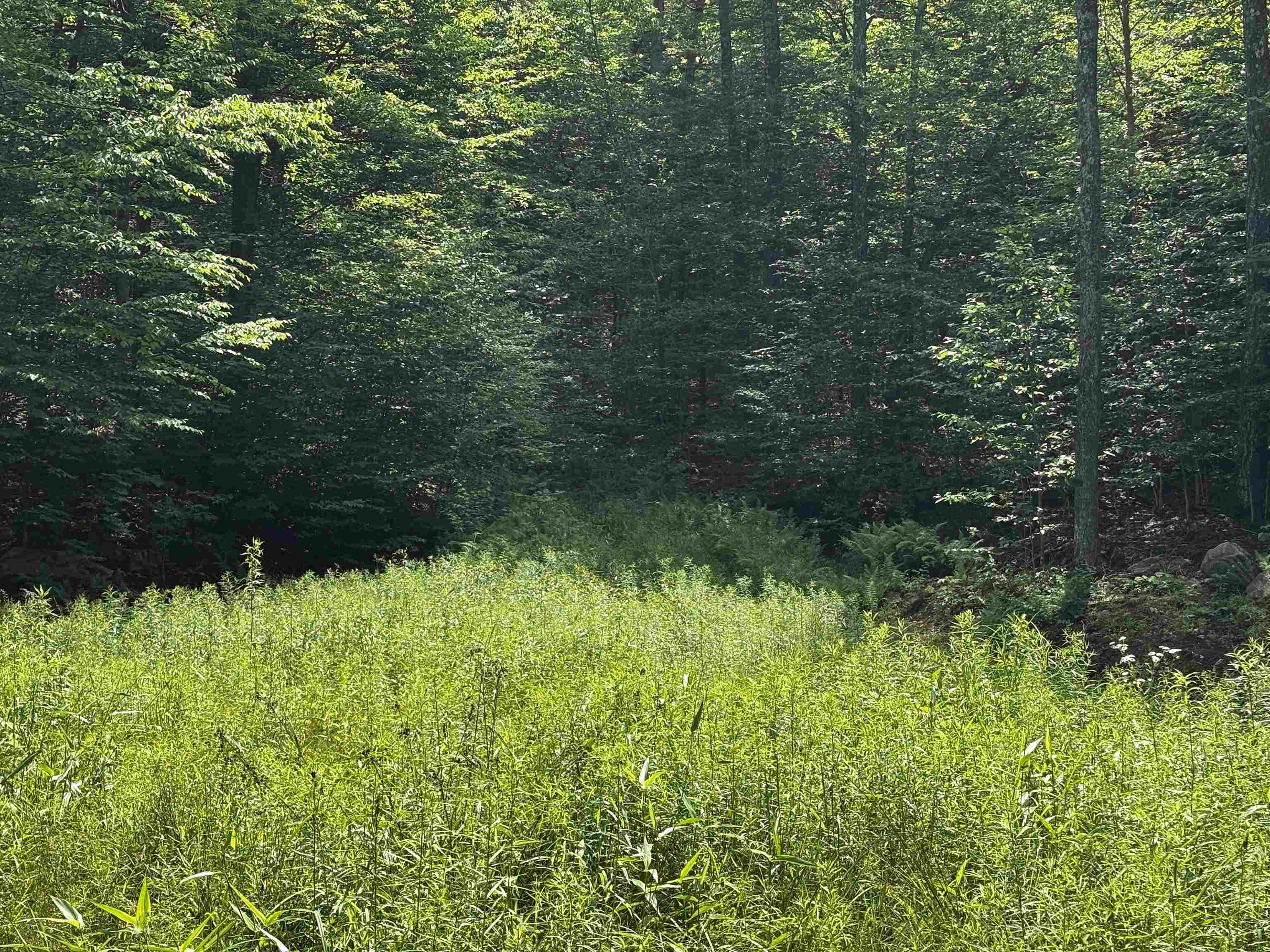 00 Quarry Road
