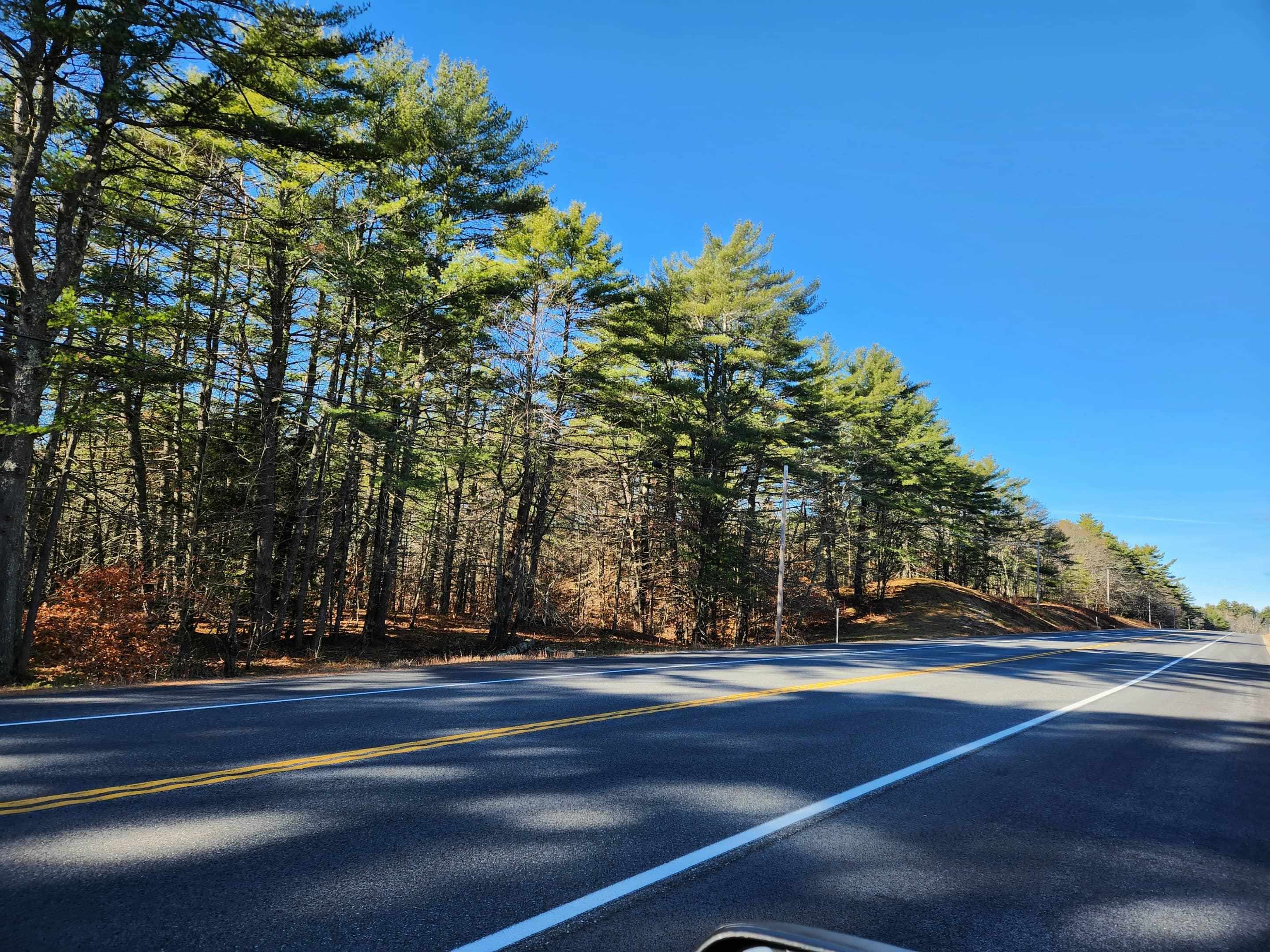 19 White Mountain Highway 19