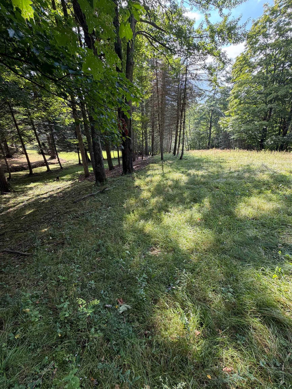Photo of 00 Blueberry Hill Drive, Lebanon, NH 03766 (MLS # 5106280)