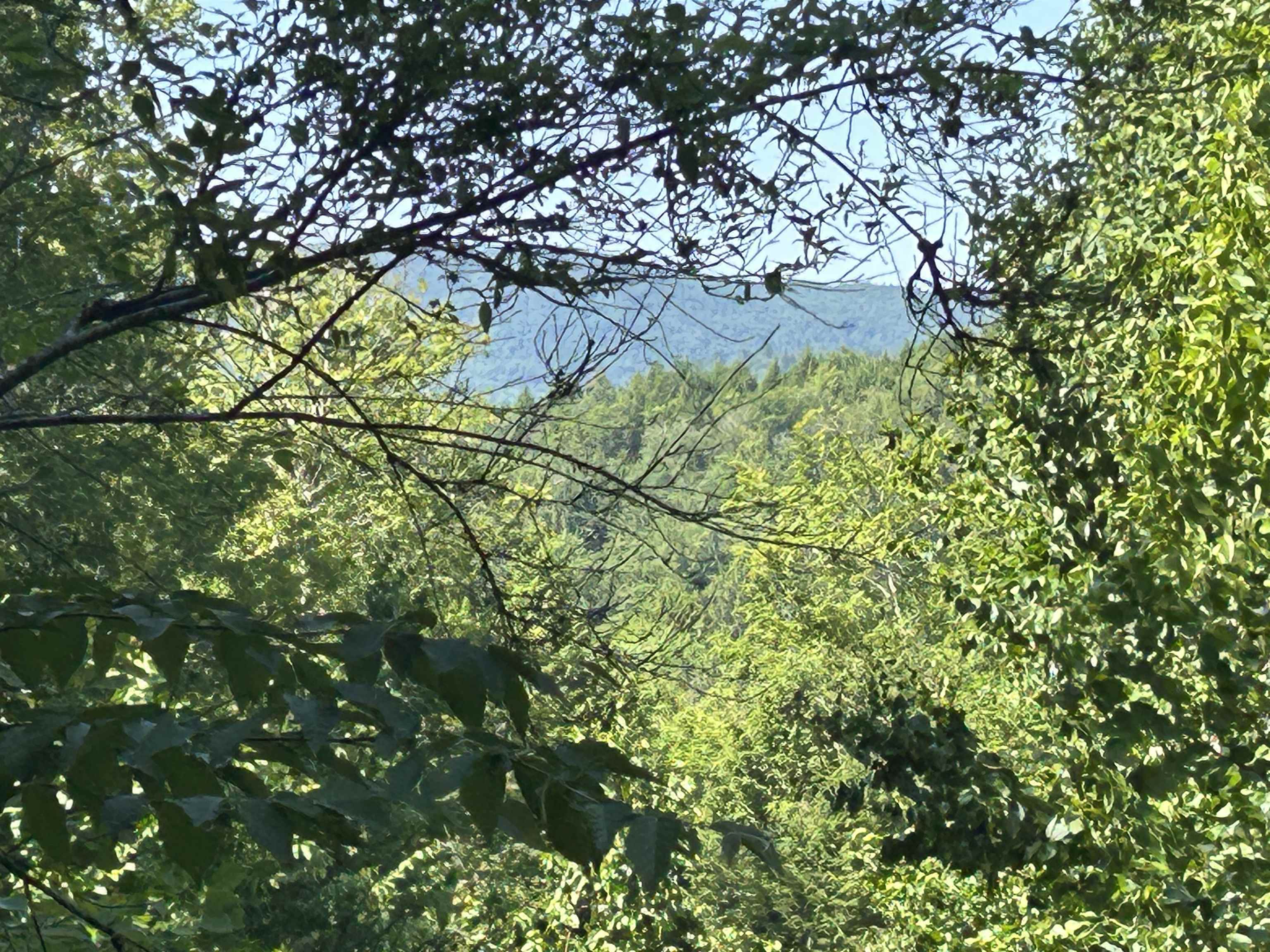 0 Rose Lane Lot #