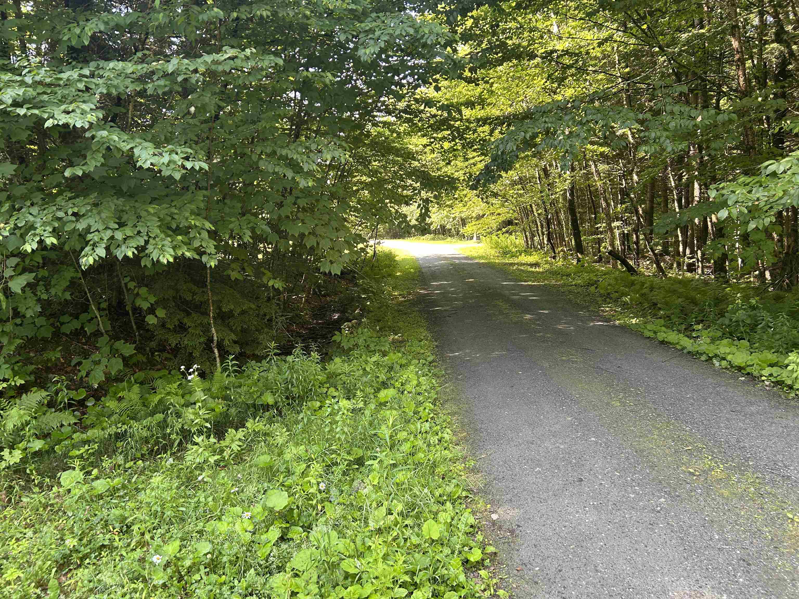 0 Rose Lane Lot #