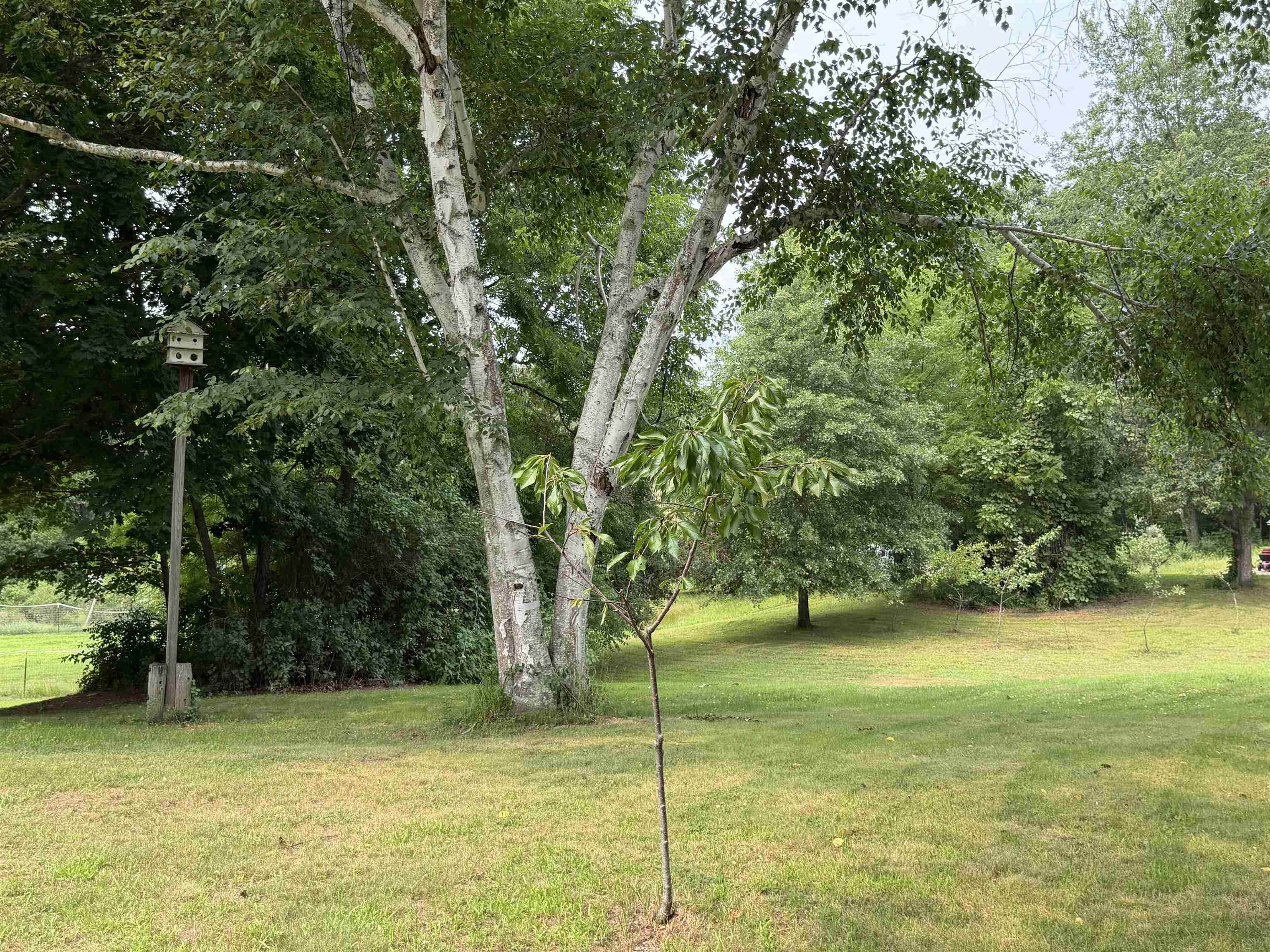 123 Turtle Pond Road