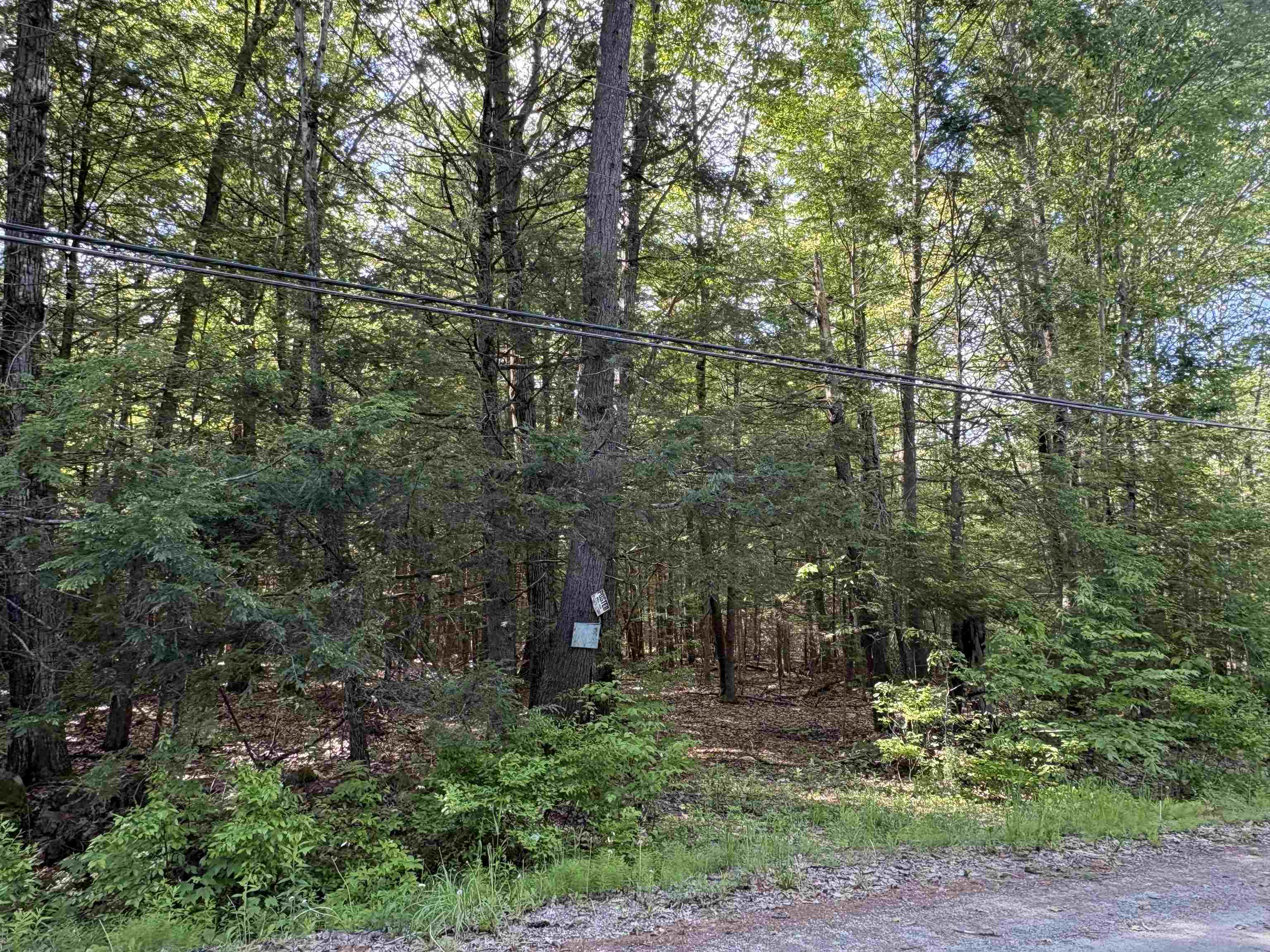 Lot 85 Currier Road