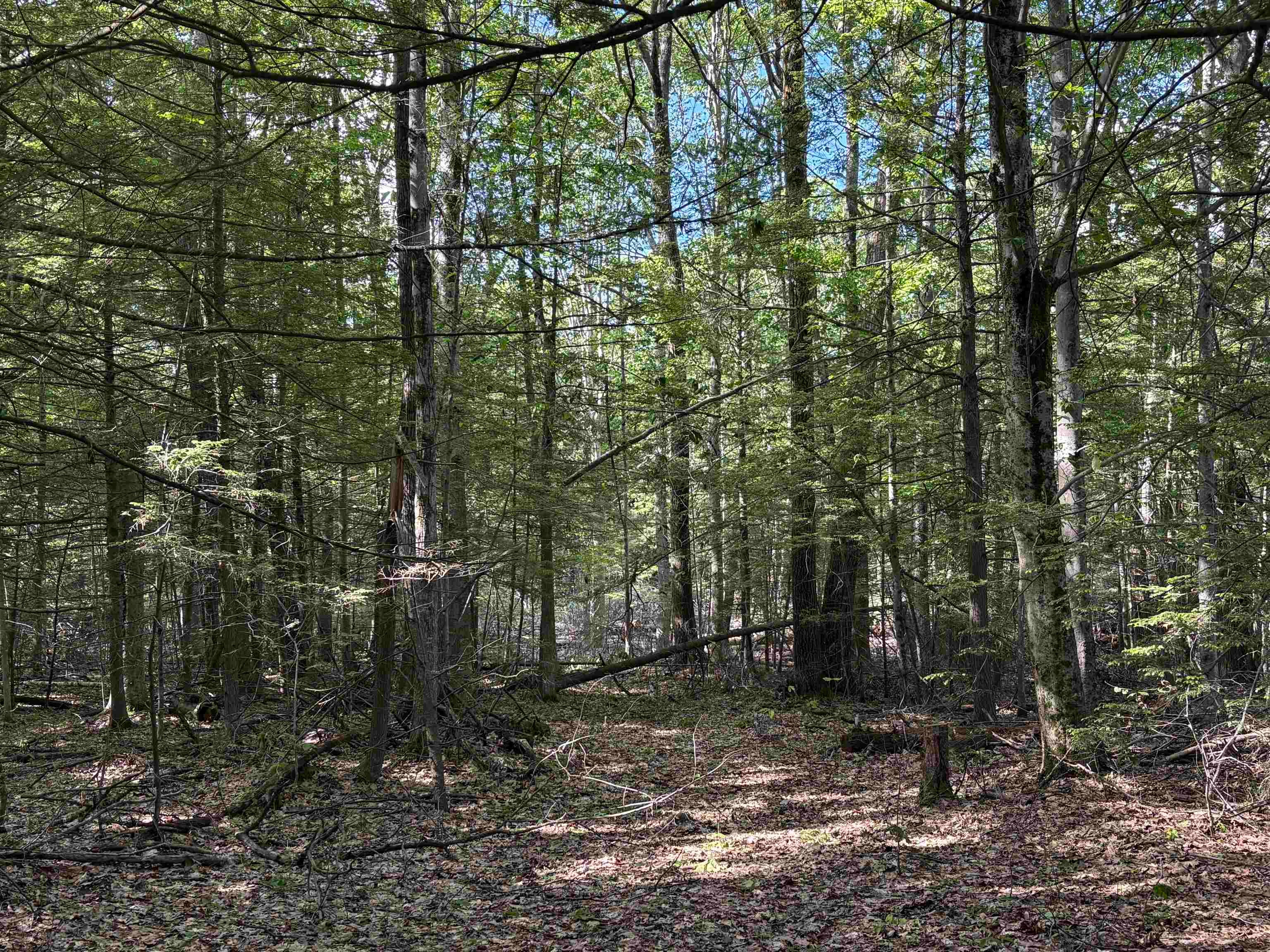 Lot 85 Currier Road