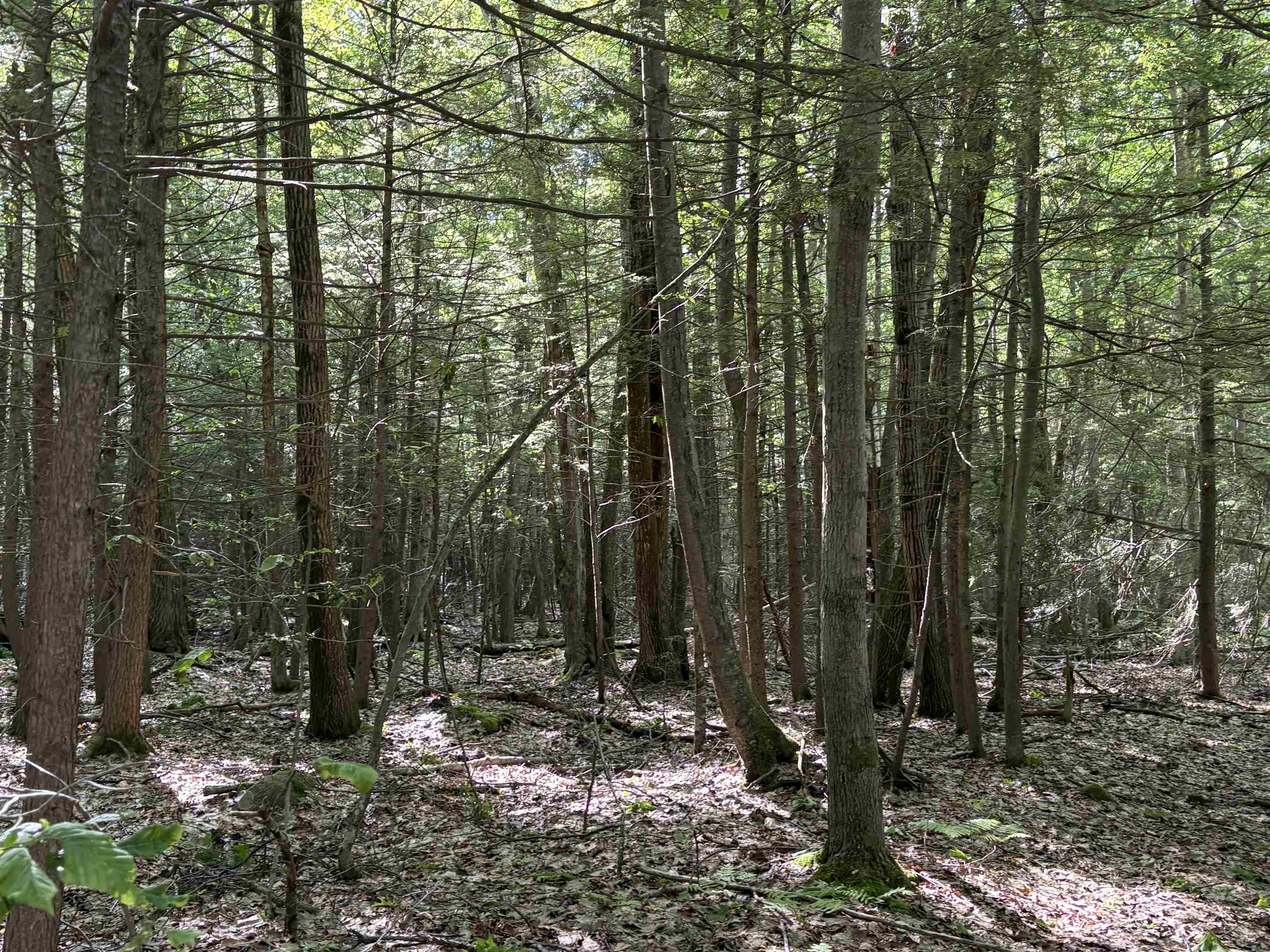 Lot 85 Currier Road