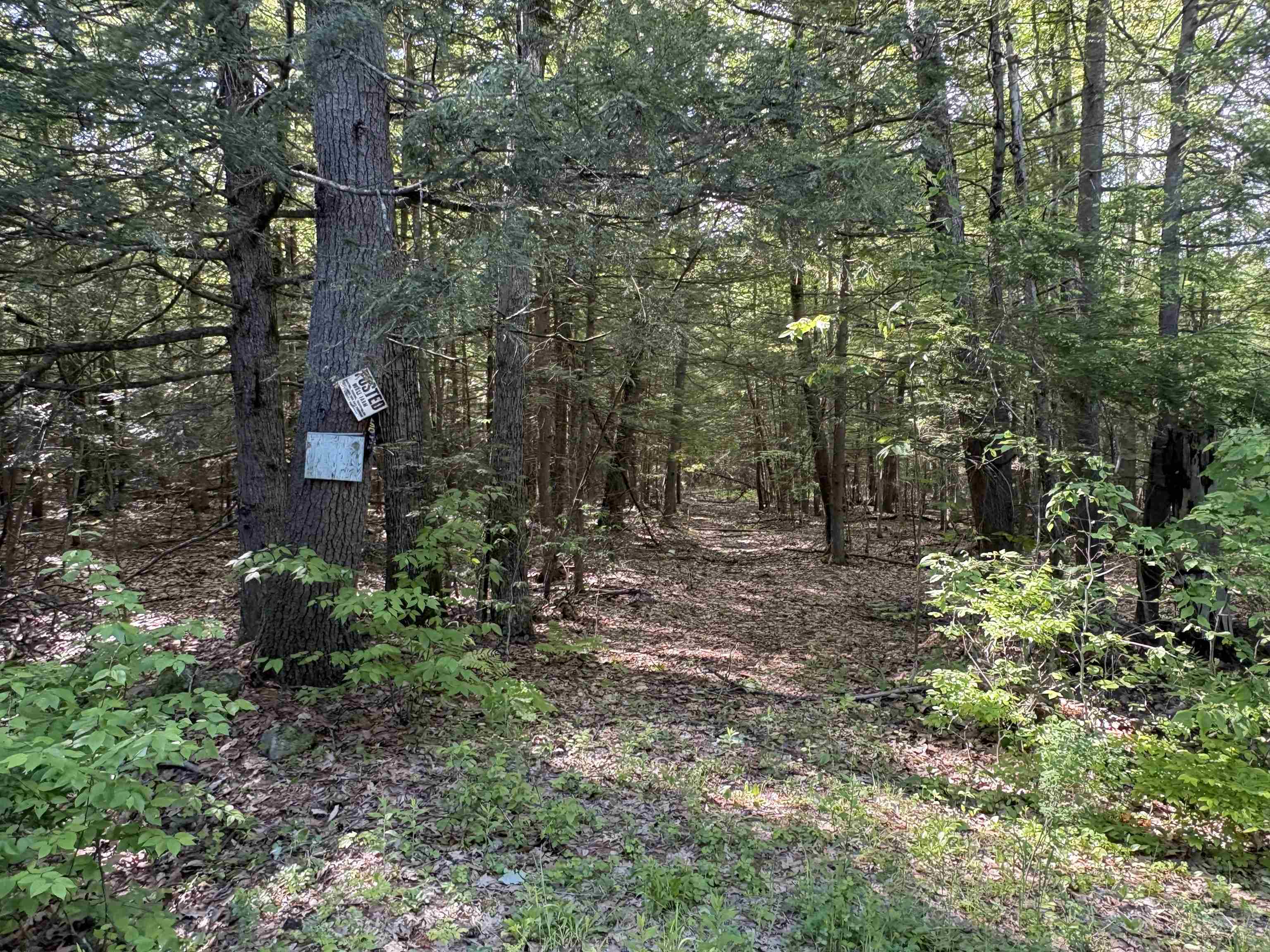Lot 85 Currier Road
