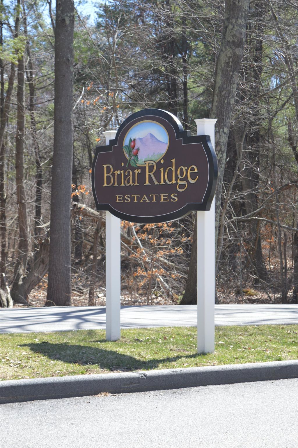 Photo of 15 South Cranberry Lane, Rochester, NH 03867 (MLS # 5083399)