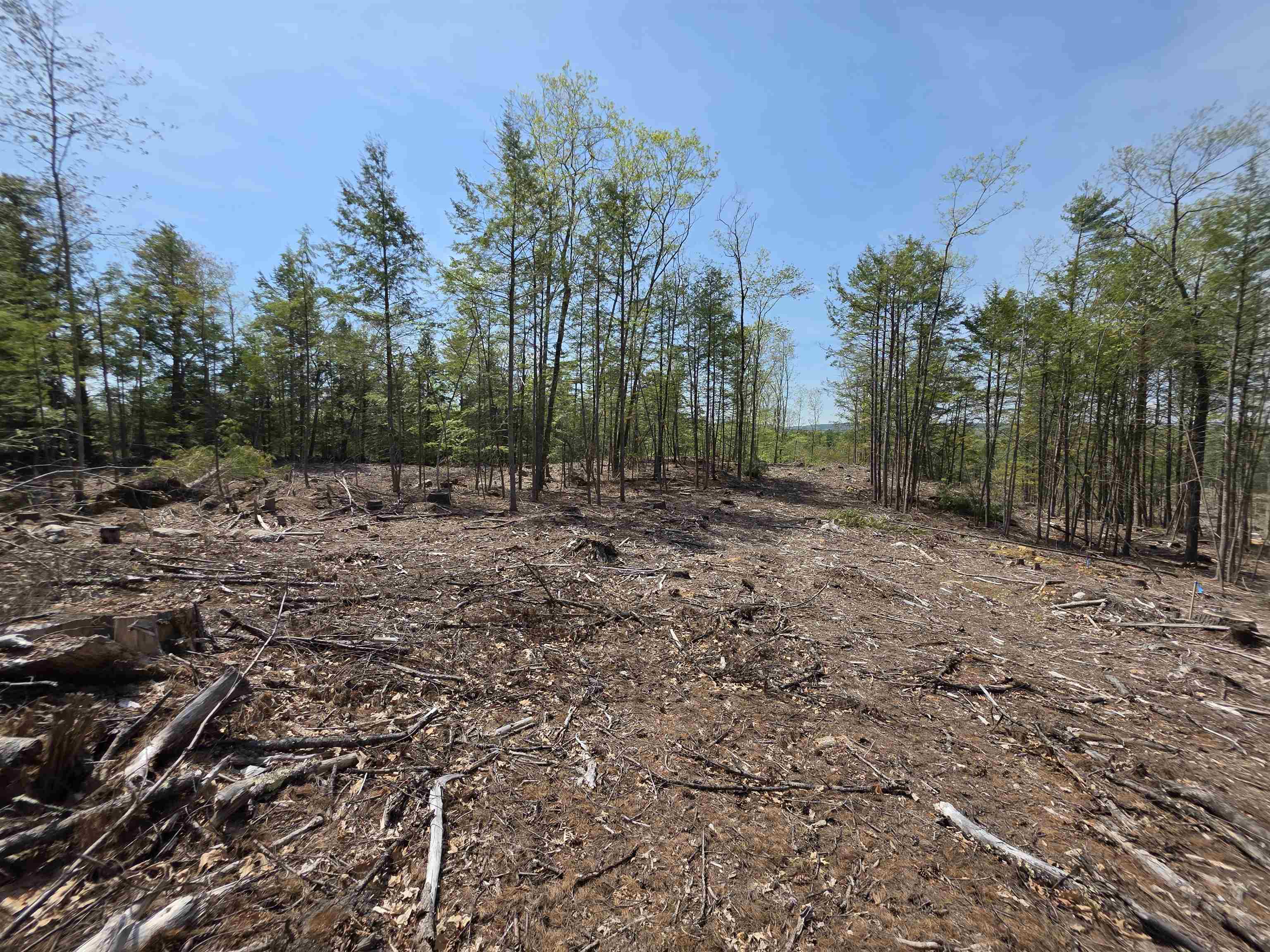 Map 417 Lot 51-1 Shannon Road