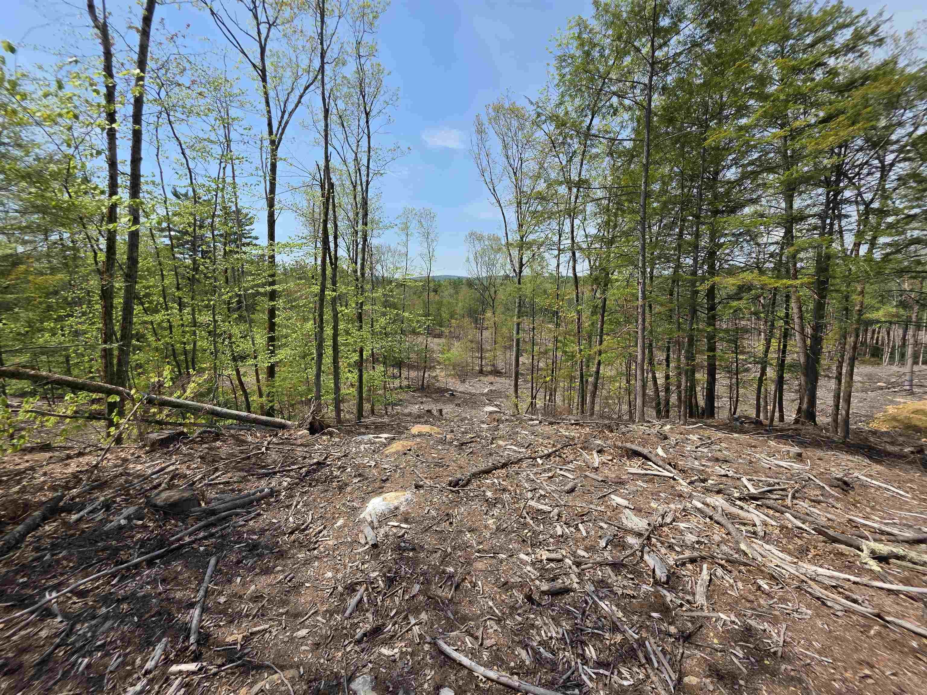 Map 417 Lot 51-1 Shannon Road