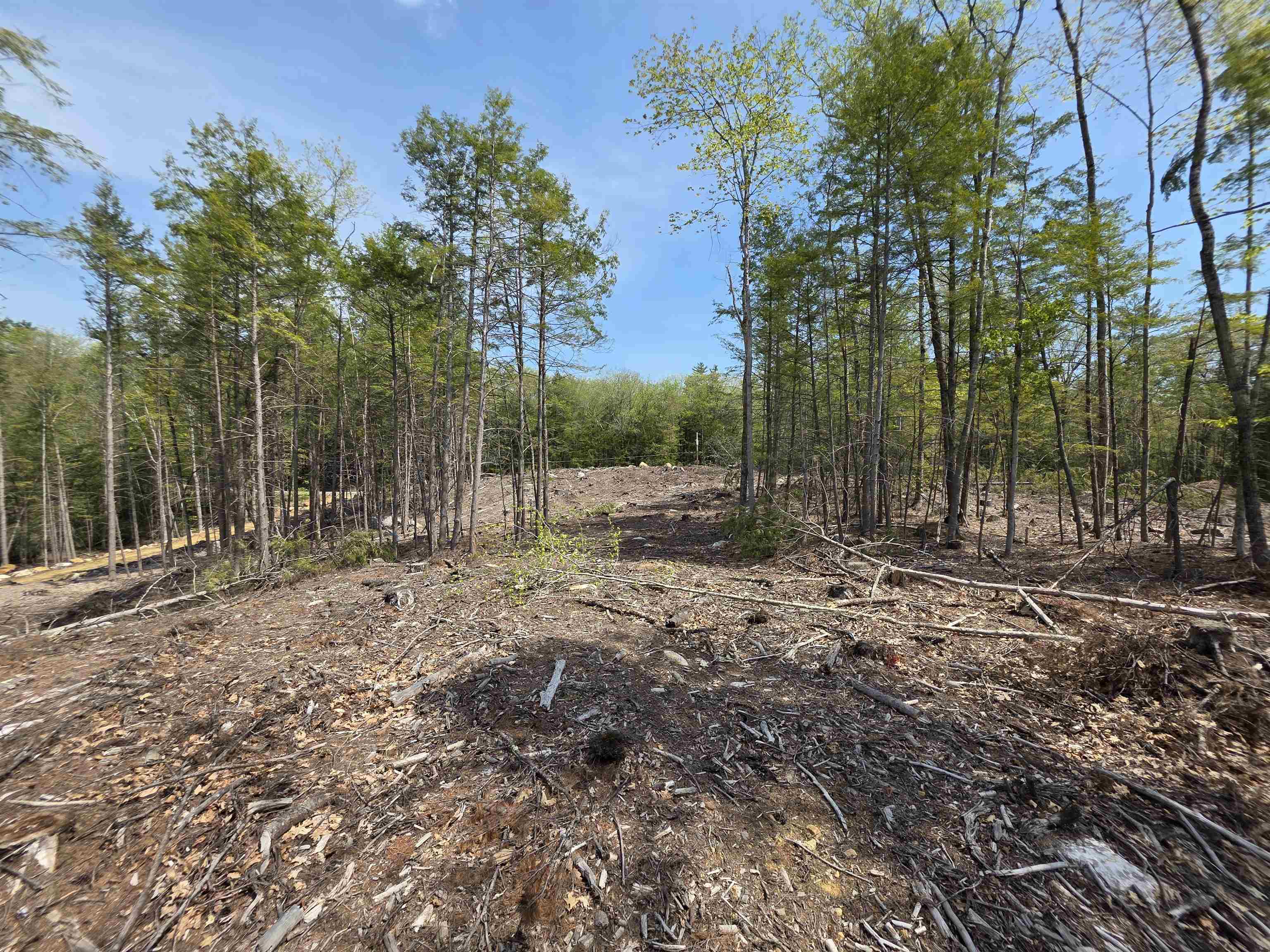 Map 417 Lot 51-1 Shannon Road