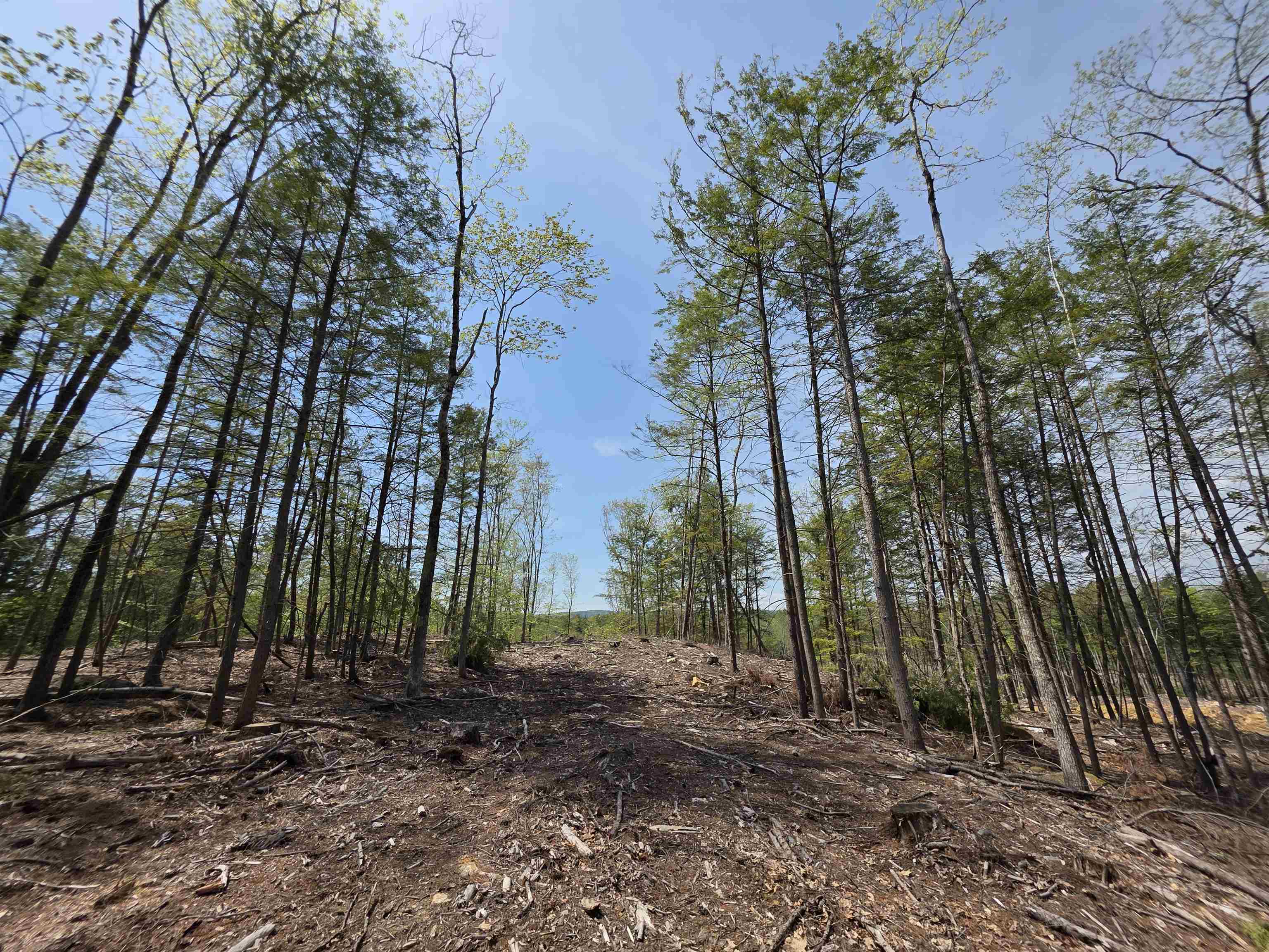 Map 417 Lot 51-1 Shannon Road