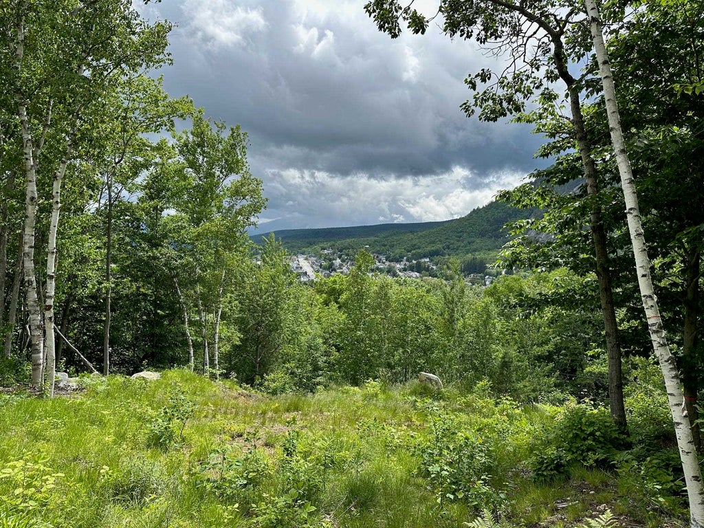 Photo of 00 Church Street #Map 121 Lot 60, Berlin, NH 03570 (MLS # 5002656)