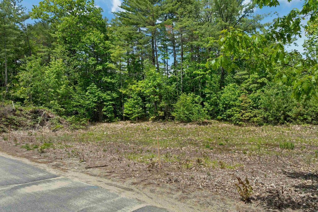 Photo of 0 Greemore Road, Meredith, NH 03253 (MLS # 5092925)