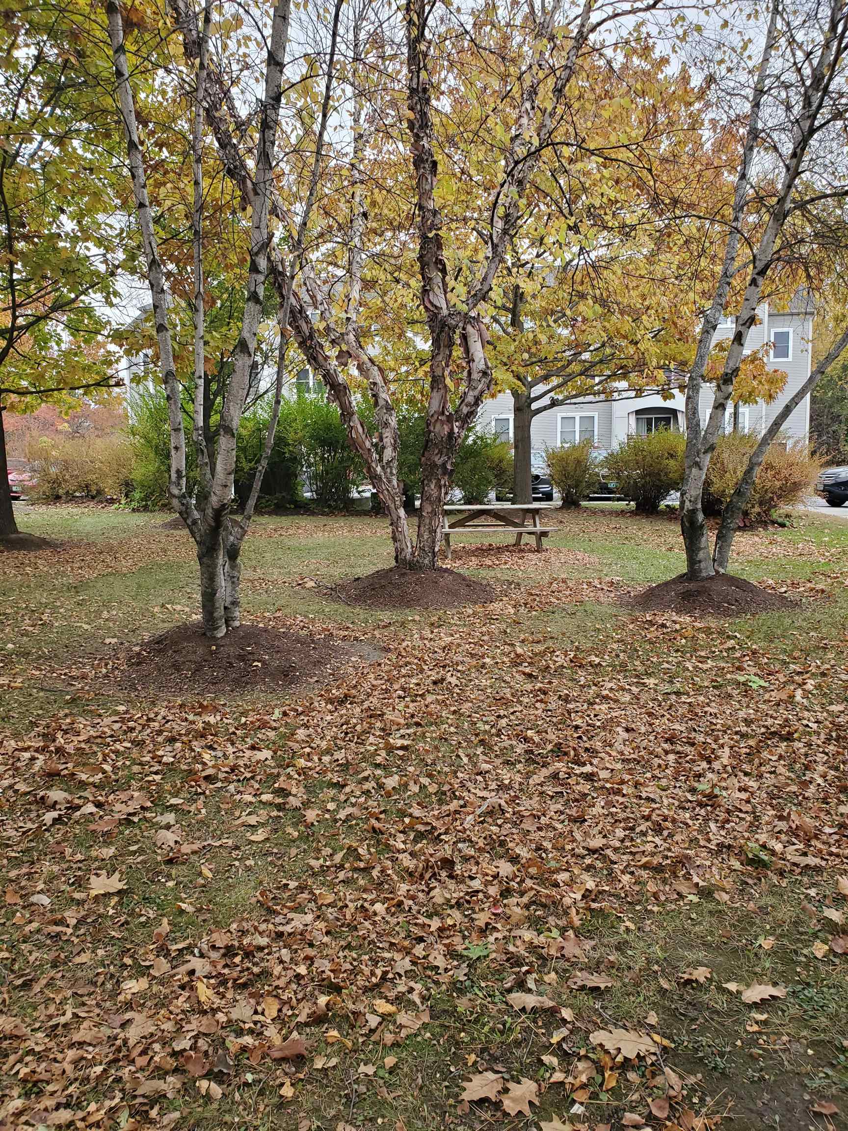305 Lime Kiln Road 240 B