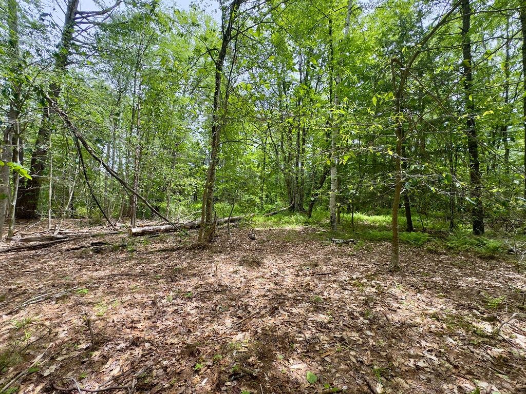 77-79 Province Road Map 2 Lot 8 aka 77-79