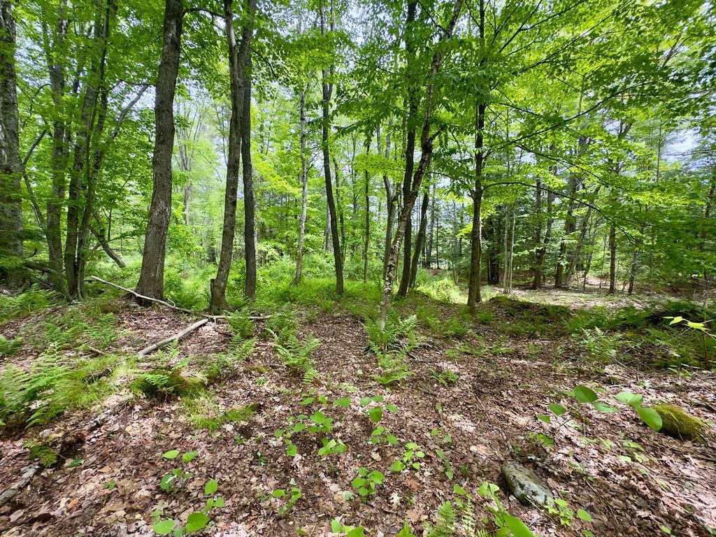 77-79 Province Road Map 2 Lot 8 aka 77-79