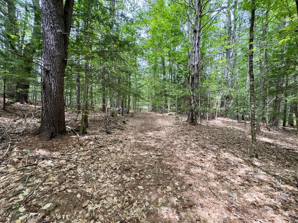 Photo of 7779 Province Road #Map 2 Lot 8 aka 77-7, Strafford, NH 03884 (MLS # 5092910)