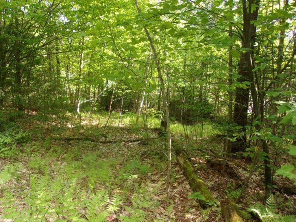 Photo of Lincoln Way #89, Haverhill, NH 03785 (MLS # 5091586)