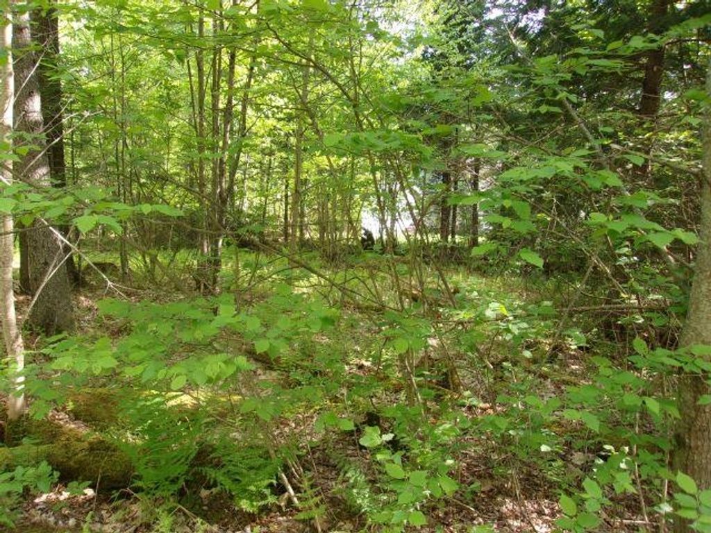 Photo of Lincoln Way #89, Haverhill, NH 03785 (MLS # 5091586)