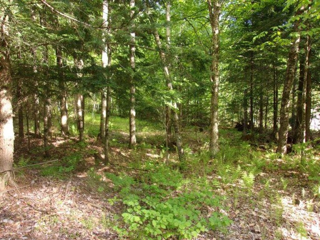 Photo of Lincoln Way #89, Haverhill, NH 03785 (MLS # 5091586)
