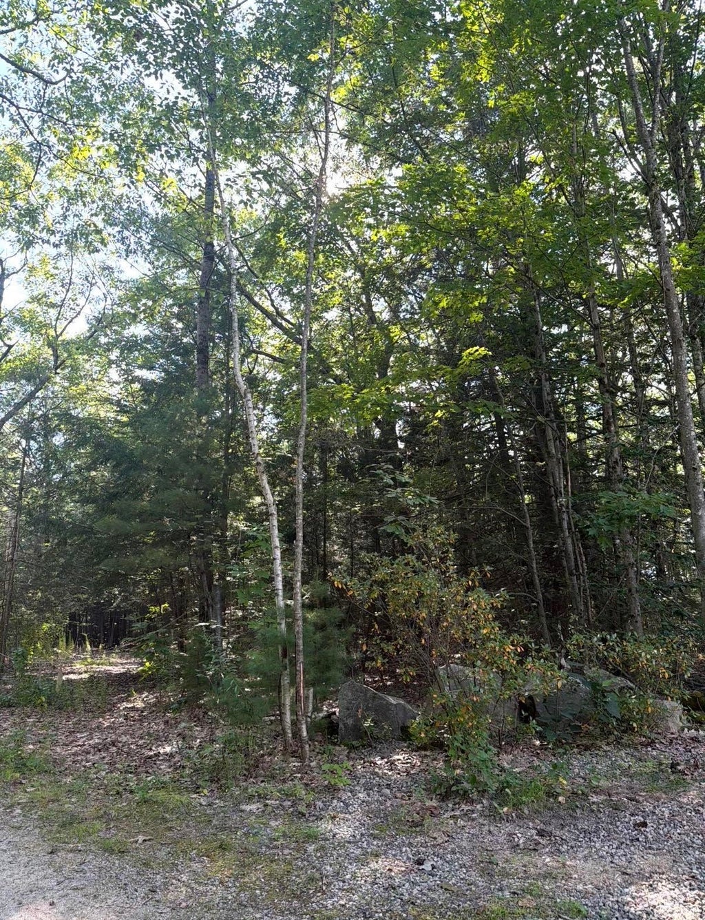 Photo of 0 Currier Road, Candia, NH 03034 (MLS # 5110211)
