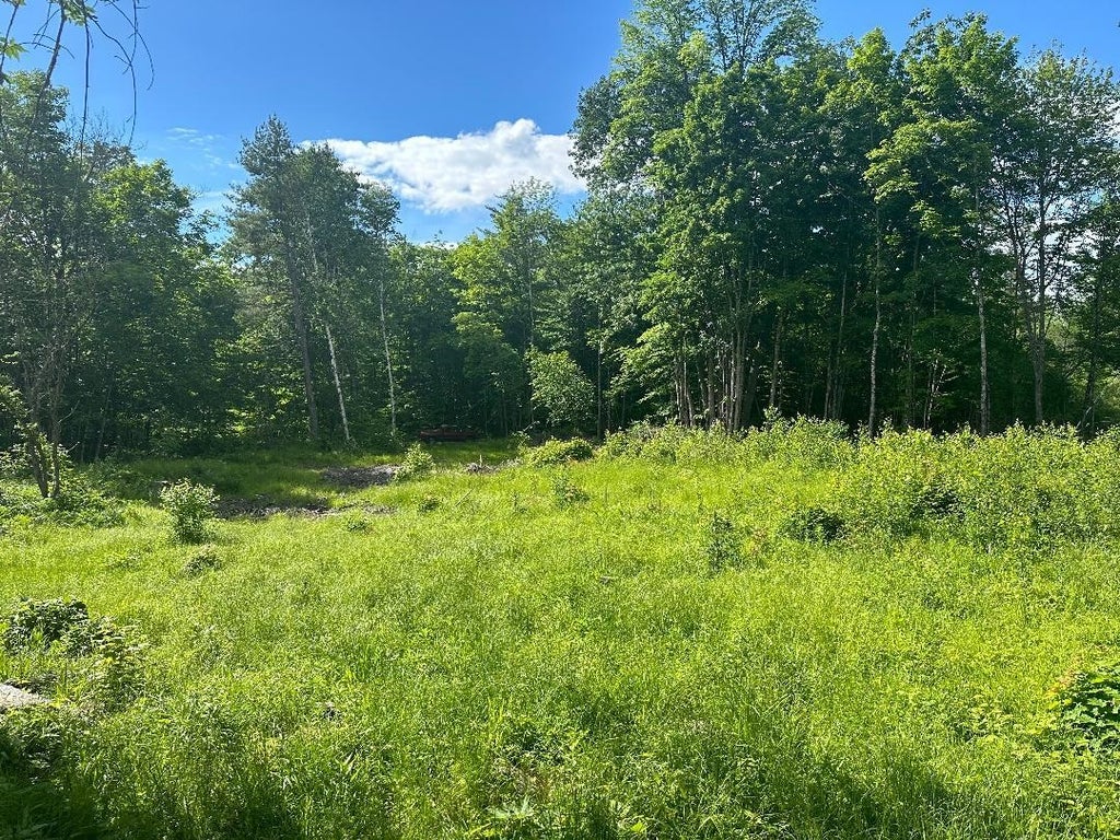 Photo of 3 Frescoln Road, Wentworth, NH 03282 (MLS # 5109813)