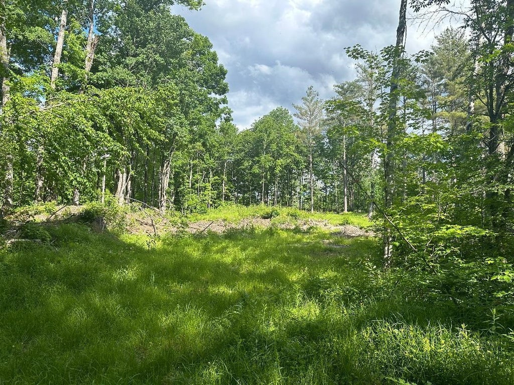 Photo of 3 Frescoln Road, Wentworth, NH 03282 (MLS # 5109813)