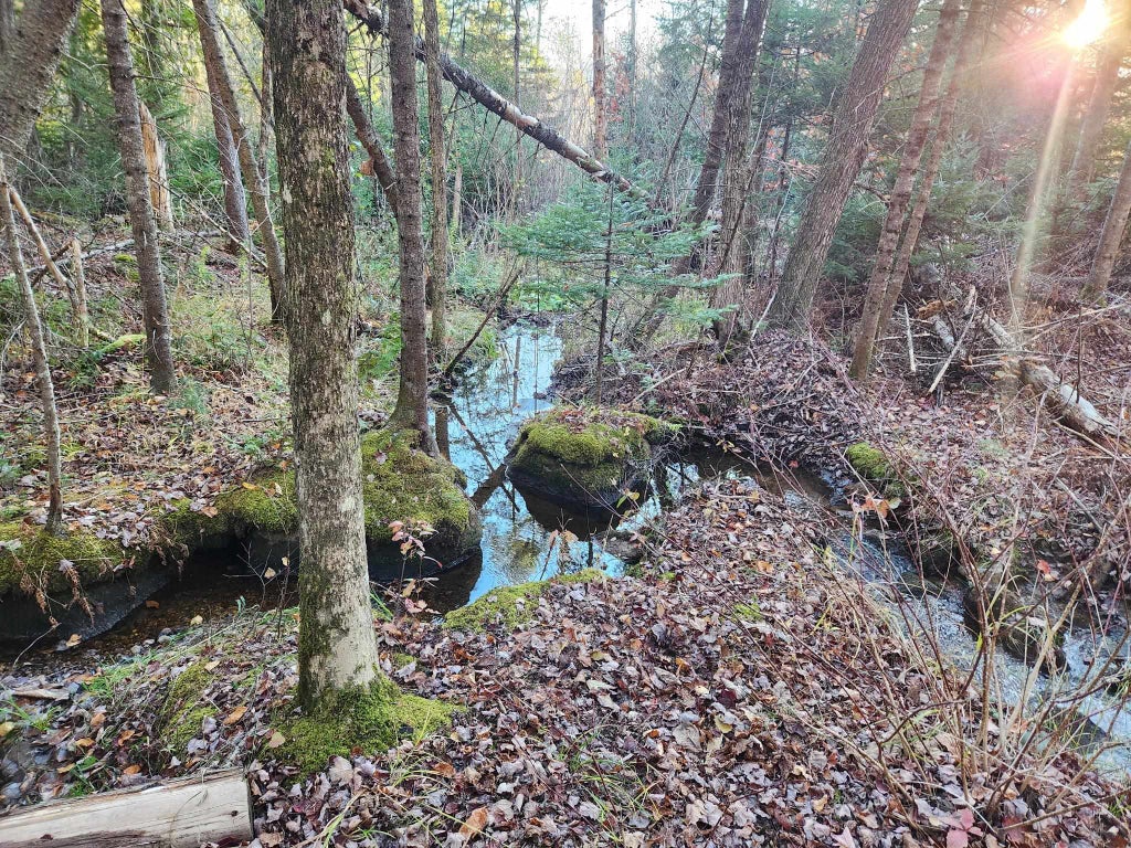 Photo of Muzzy Hill Road, Milan, NH 03588 (MLS # 5113558)