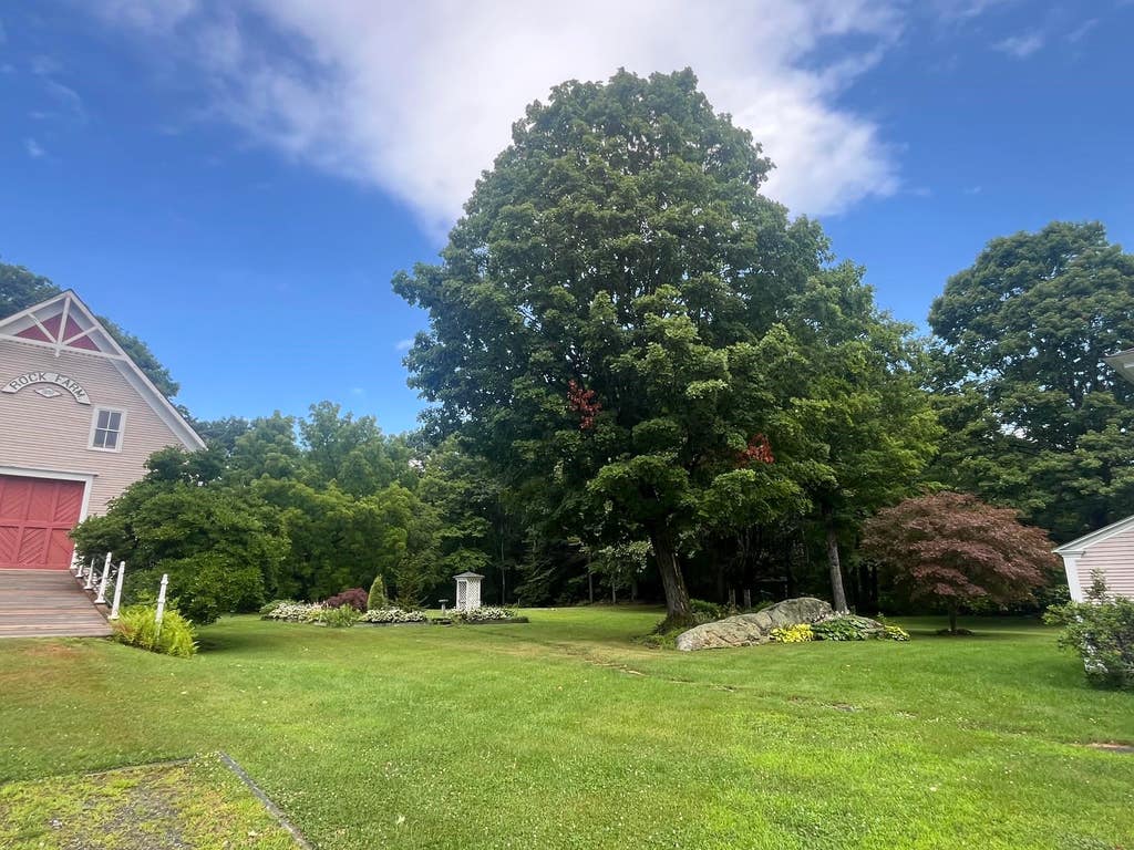 Photo of 400 Alstead Center Road, Alstead, NH 03602 (MLS # 5083771)