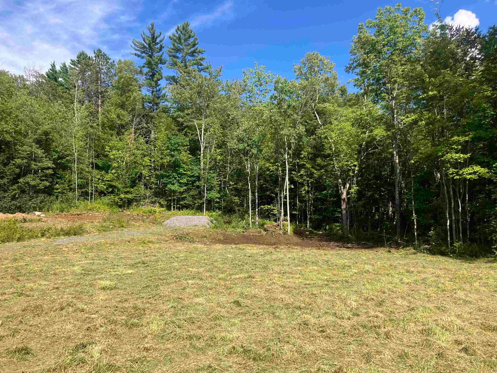 Photo of 369 NH Route 25C, Piermont, NH 03779 (MLS # 5110980)