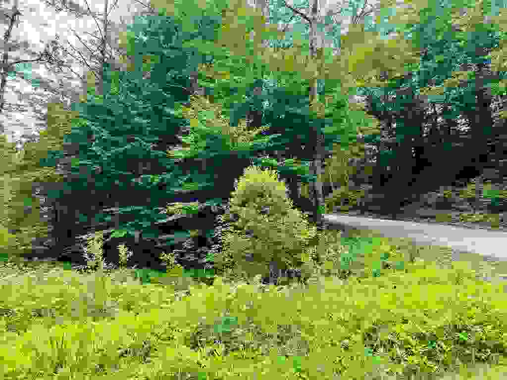 Photo of Highland Street, Whitefield, NH 03598 (MLS # 5098041)