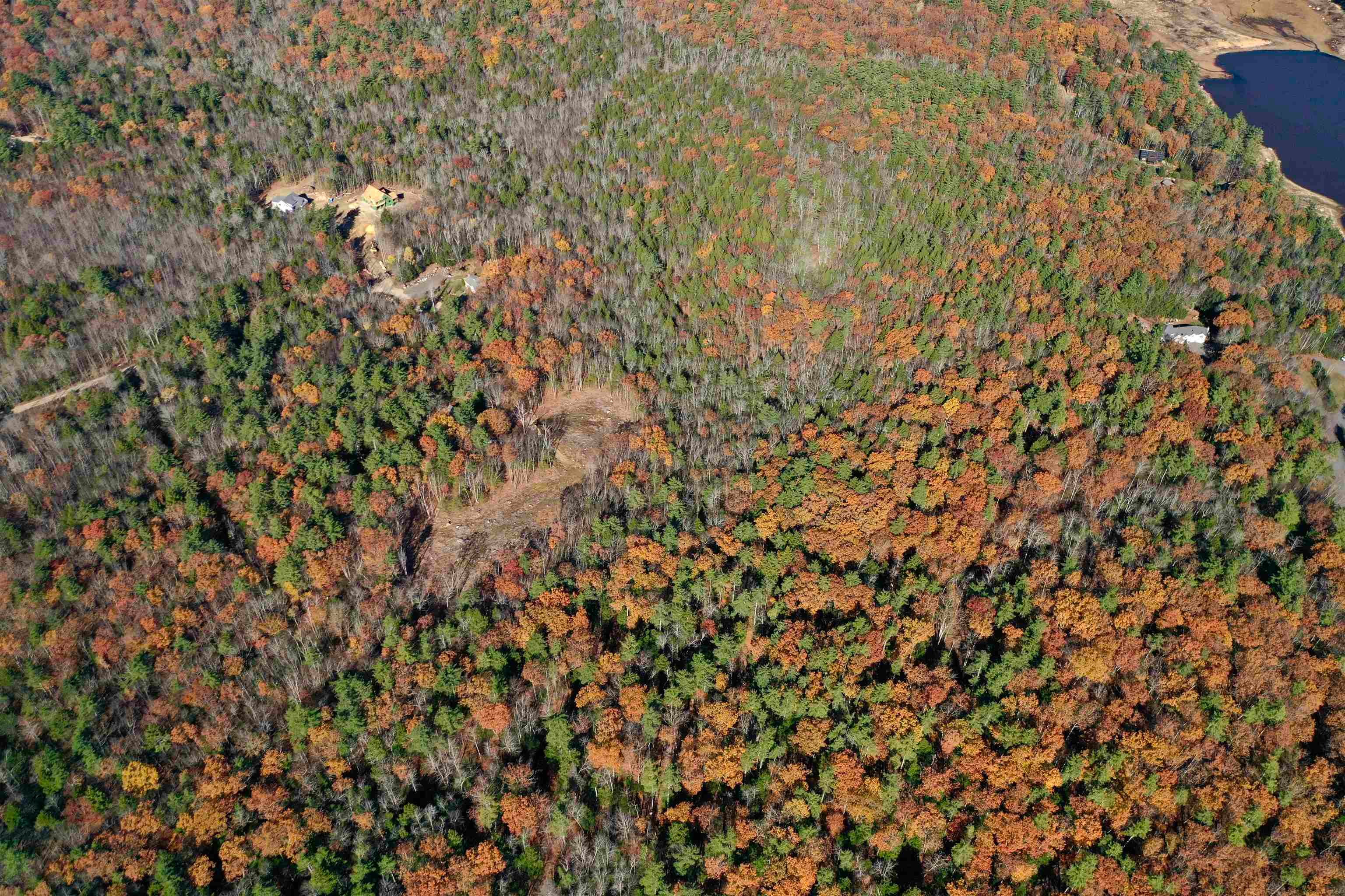 Lot 70 Homestead Lane