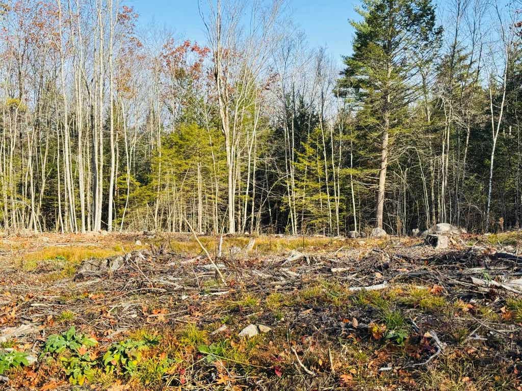 Photo of 70 Homestead Lane, Barrington, NH 03825 (MLS # 5103029)