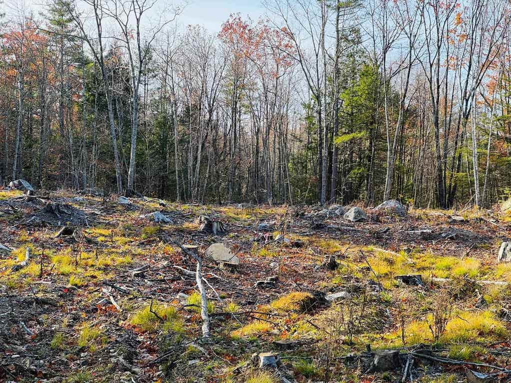Photo of 70 Homestead Lane, Barrington, NH 03825 (MLS # 5103029)