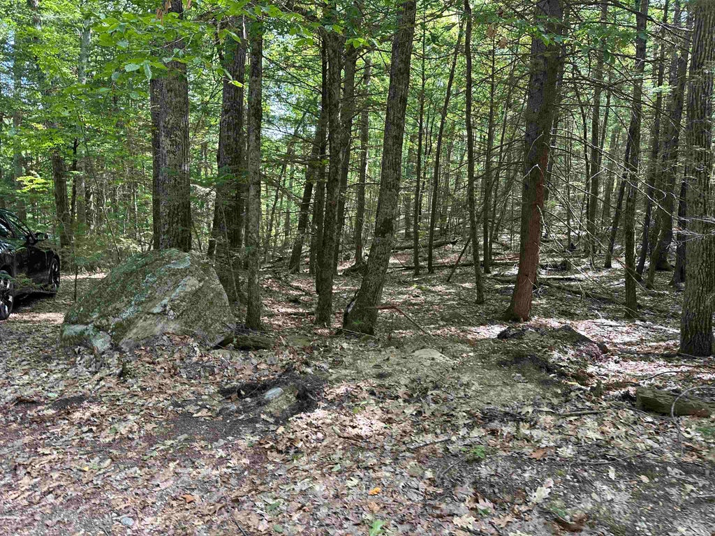 Photo of 148 Merrill Road, Strafford, NH 03884 (MLS # 5108181)