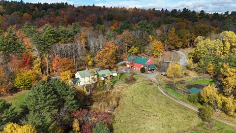 Photo of 1276 Windham Hill Road, Townshend, VT 05359 (MLS # 5115583)