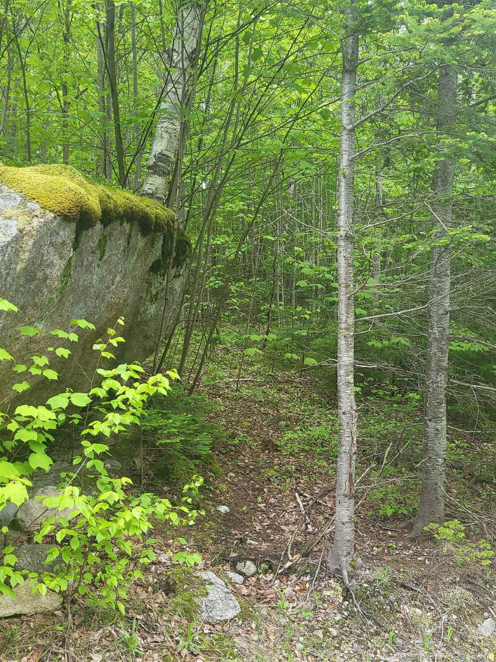 Photo of 0 Saphire Lane, Jefferson, NH 03583 (MLS # 5092346)
