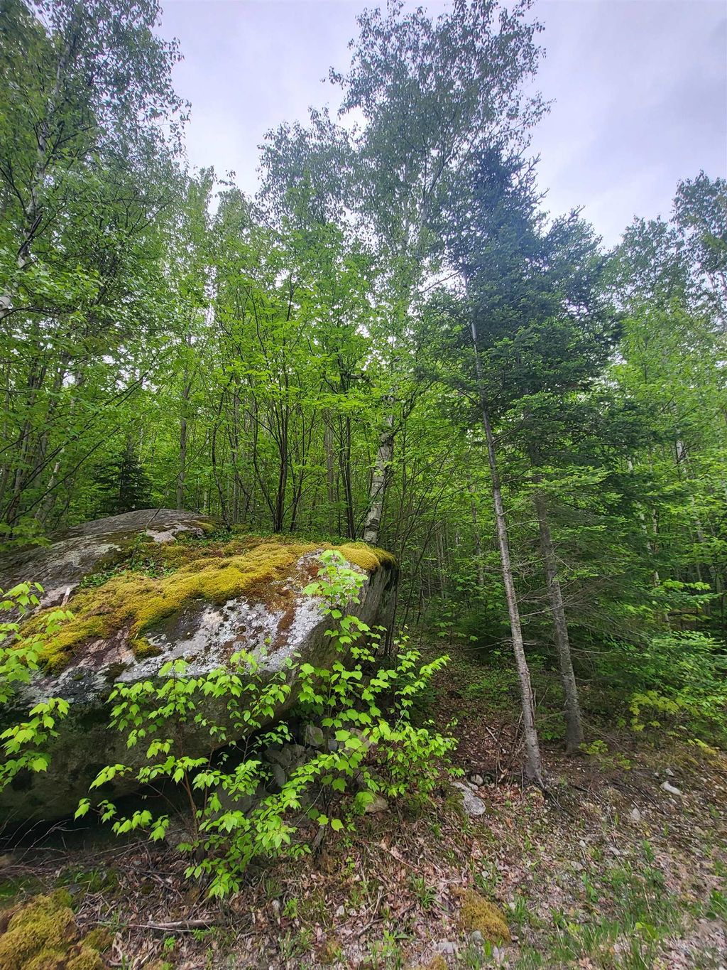 Photo of 0 Saphire Lane, Jefferson, NH 03583 (MLS # 5092346)