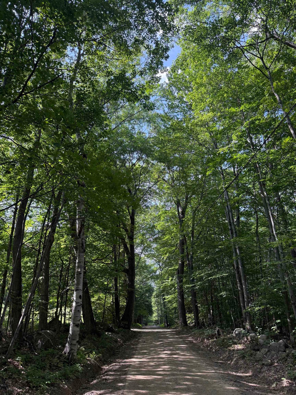 Photo of 22 Wadleigh Road, Sanbornton, NH 03269 (MLS # 5099700)