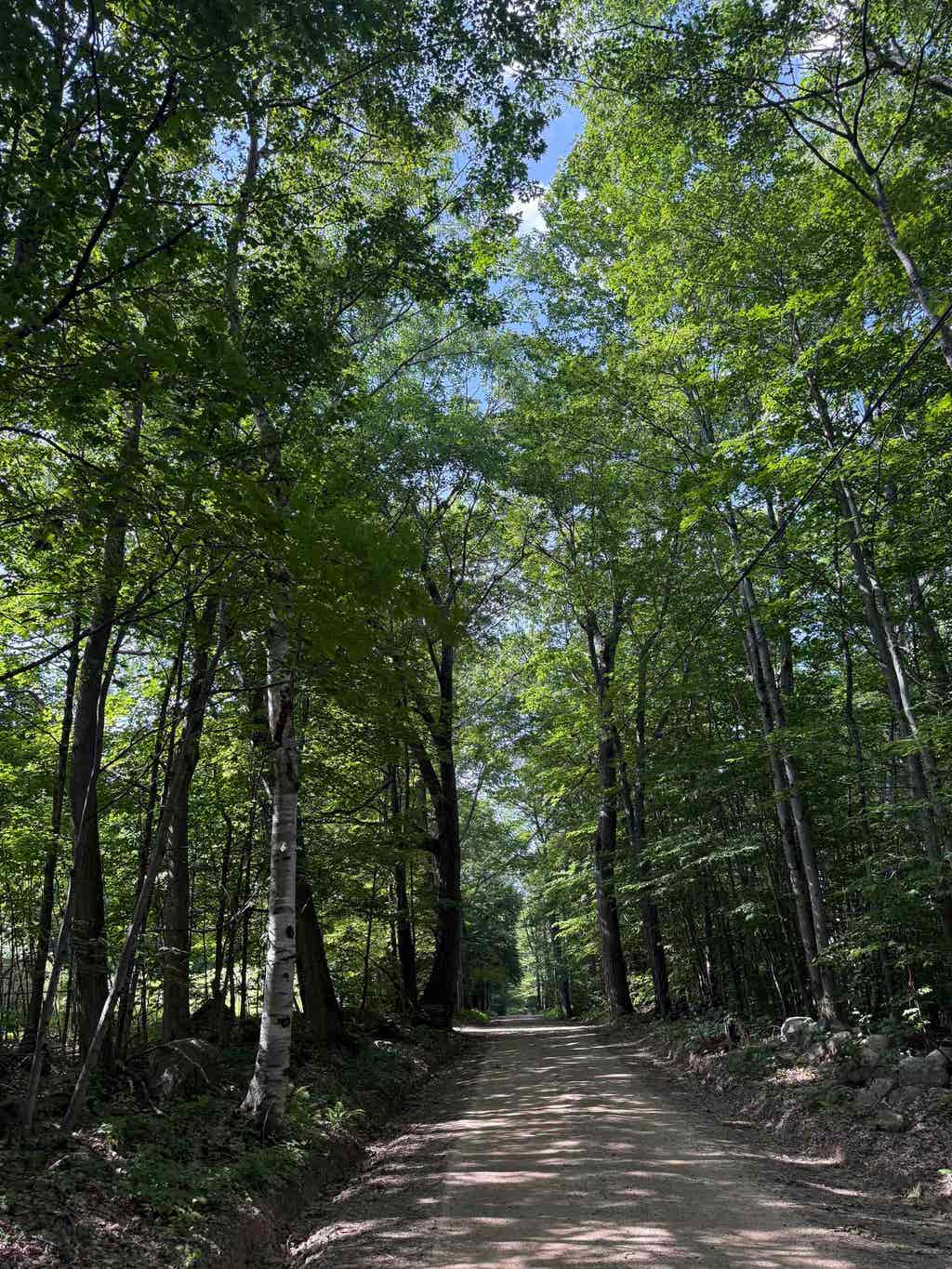 Photo of 22 Wadleigh Road, Sanbornton, NH 03269 (MLS # 5099700)