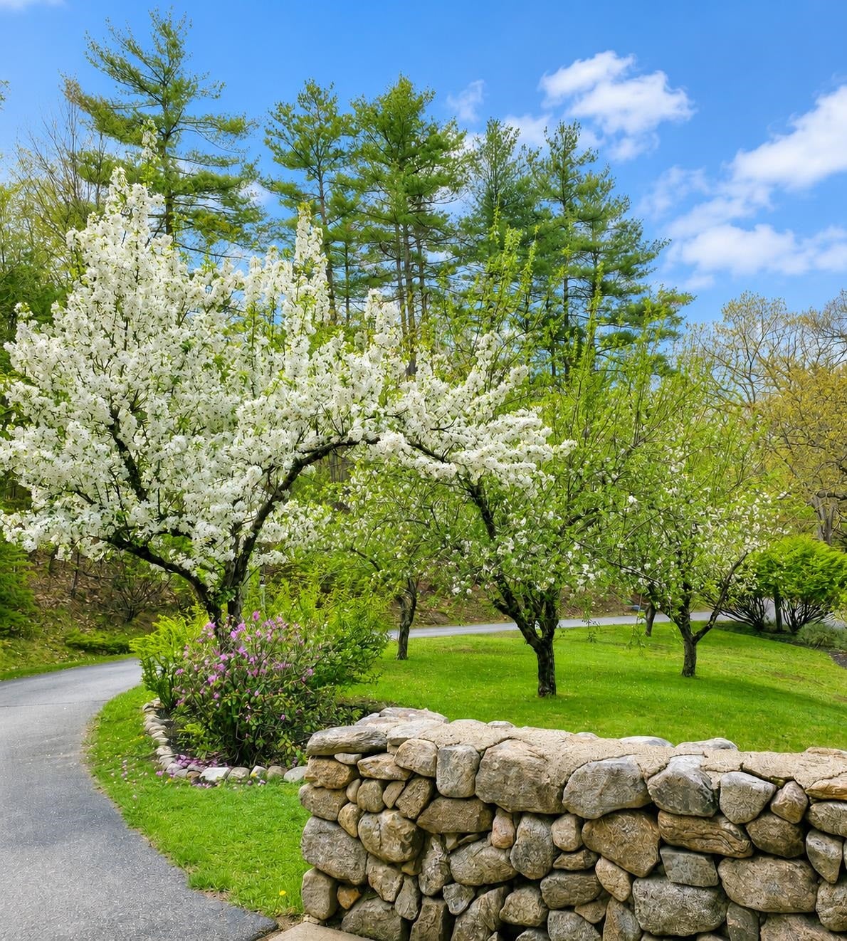 107 Fresh Pond Lane