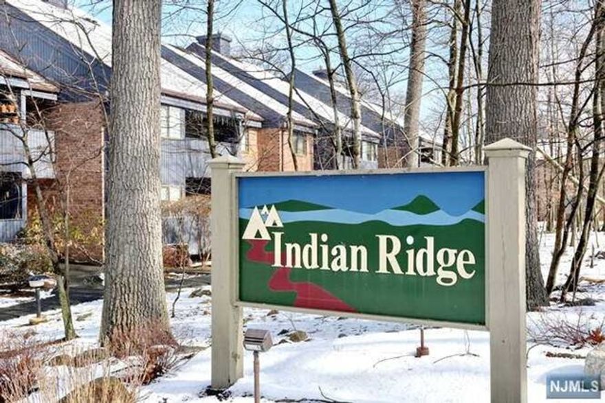 BRIGHT & CHEERFUL FIRST FLOOR CONDO WITHIN THE DESRIABLE INDIAN RIDGE COMPLEX! RECENTLY UPDATED KITCHEN FEATURES STAINLESS APPLIANCES, GRANITE COUNTERS, CUSTOM BACKSPLASH & WHITE CABINETRY. LARGE LIVING ROOM HAS 2 SETS OF SLIDERS TO COVERED BALCONY FACING WOODS. PRETTY WINTER VIEW OF POND! BEDROOM HAS THE SAME VIEW & OFFERS A WALK-IN CLOSET. WINDOW TREATMENTS THROUGHOUT THE CONDO WILL STAY. WASHER/DRYER INCLUDED. LARGE GARAGE WITH OPENER AND AMPLE STORAGE BIN WITHIN LOCKED STORAGE ROOM. OUTDOOR POOL AND PLENTY OF PARKING IN THIS COMPLEX! REASONABLE MAHWAH TAXES & MAINTENANCE. NEAR SHOPPING & TRANSPORTATION OPTIONS. *PLEASE NOTE: FIRST FLOOR UNIT IS ONE FLIGHT OF STAIRS UP FROM GARAGE*