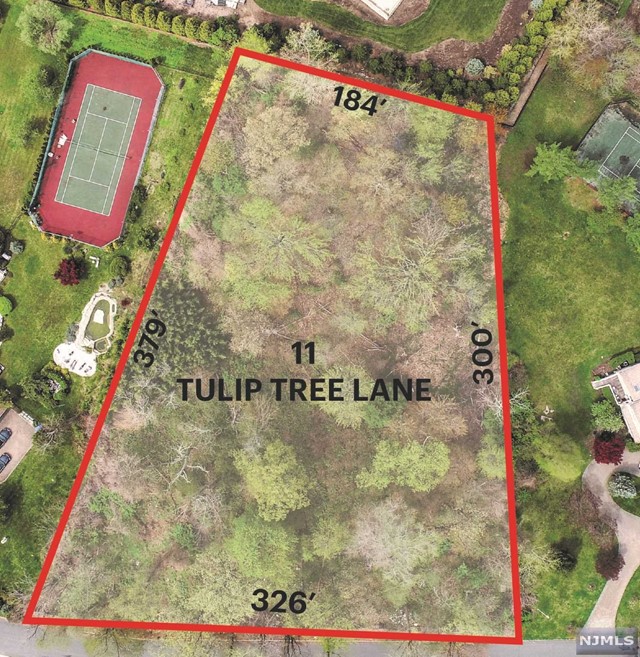 11 Tulip Tree Lane, Alpine, New Jersey -  - 