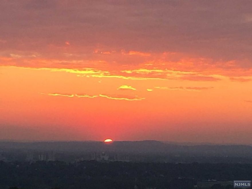 Fabulous opportunity to make this high floor, west facing condo your own. Freshly painted, this unit has the potential to be a showcase. The kitchen can be opened up, to enlarge the already good space, to include an island or breakfast bar. The living room overlooks the neighborhood park and you can enjoy awesome sunsets from the terrace. Bedroom is generous with 3 closets and 2 additional hallway closets for extra storage. Bathroom with shower over tub can be reimagined to suit your own taste. Med South offers 24/7 concierge service, on site management and maintenance staff, on floor laundry room, community room, outdoor playground, athletic courts and pools. Gym available for monthly fee. Parking assigned after closing by mgmt $70/$60/$50 per month. Choice of Spectrum or Verizon FiOS for internet. Close to NYC bound buses and major NJ highways. Free shuttle for Columbia-Presbyterian employees across the street. Fort Lee enjoys eclectic dining choices. A great town to call home !