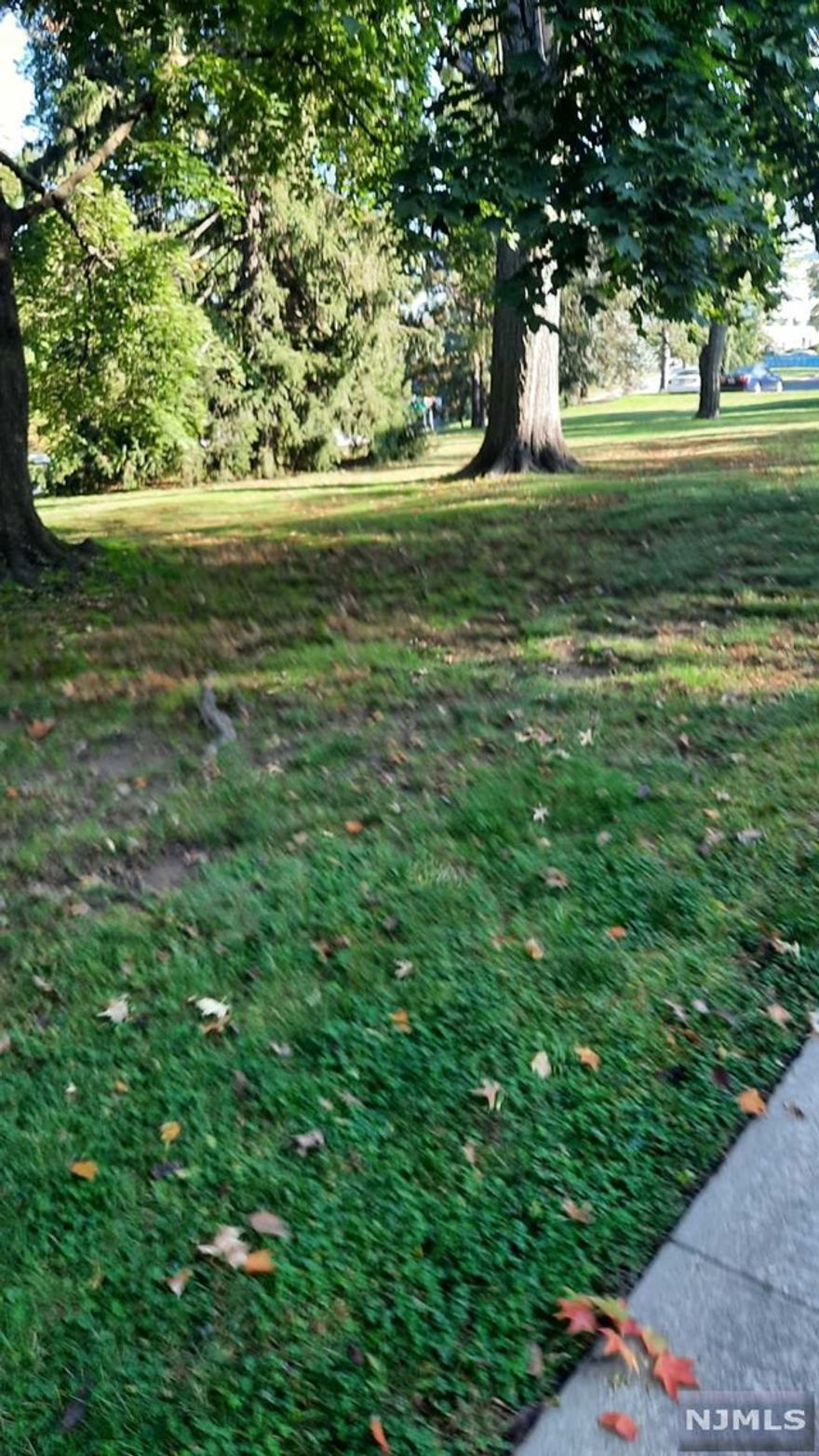 This co-op offers all spacious rooms LR, Dr, Kit, 2 Bed, Bath. Quiet community, park setting and grounds are well maintained. Close to all major highways. This unit is close to shopping malls and all churches. Storage in basement. Washer/Dryer in unit. Parking spaces are provided.